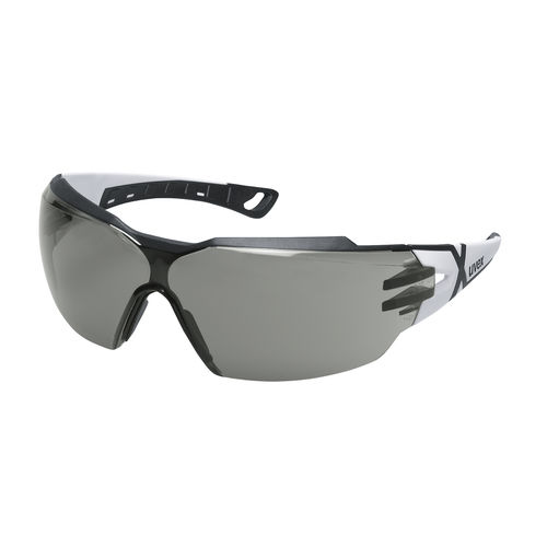 uvex Pheos CX2 Safety Glasses (4031101623894)